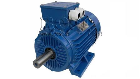 ELEKTROMOTOR 2P B3 3F Füße