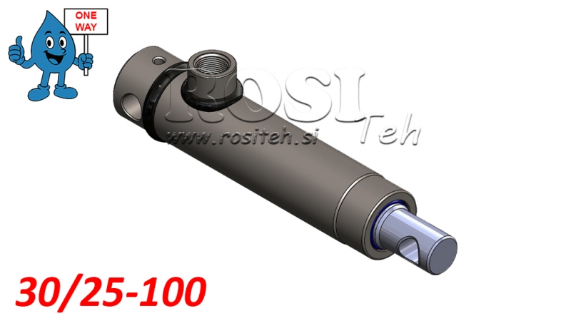 HYDRAULIKZYLINDER MONO 30/25-100