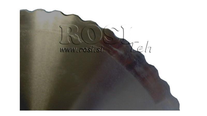 SCHNEIDSCHEIBE 300x25.4x3 mm MIT SCHNITT 30
